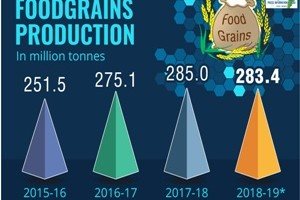 Food production of India